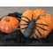 Assorted Original Buffalo Halloween Hay®, 1pc.